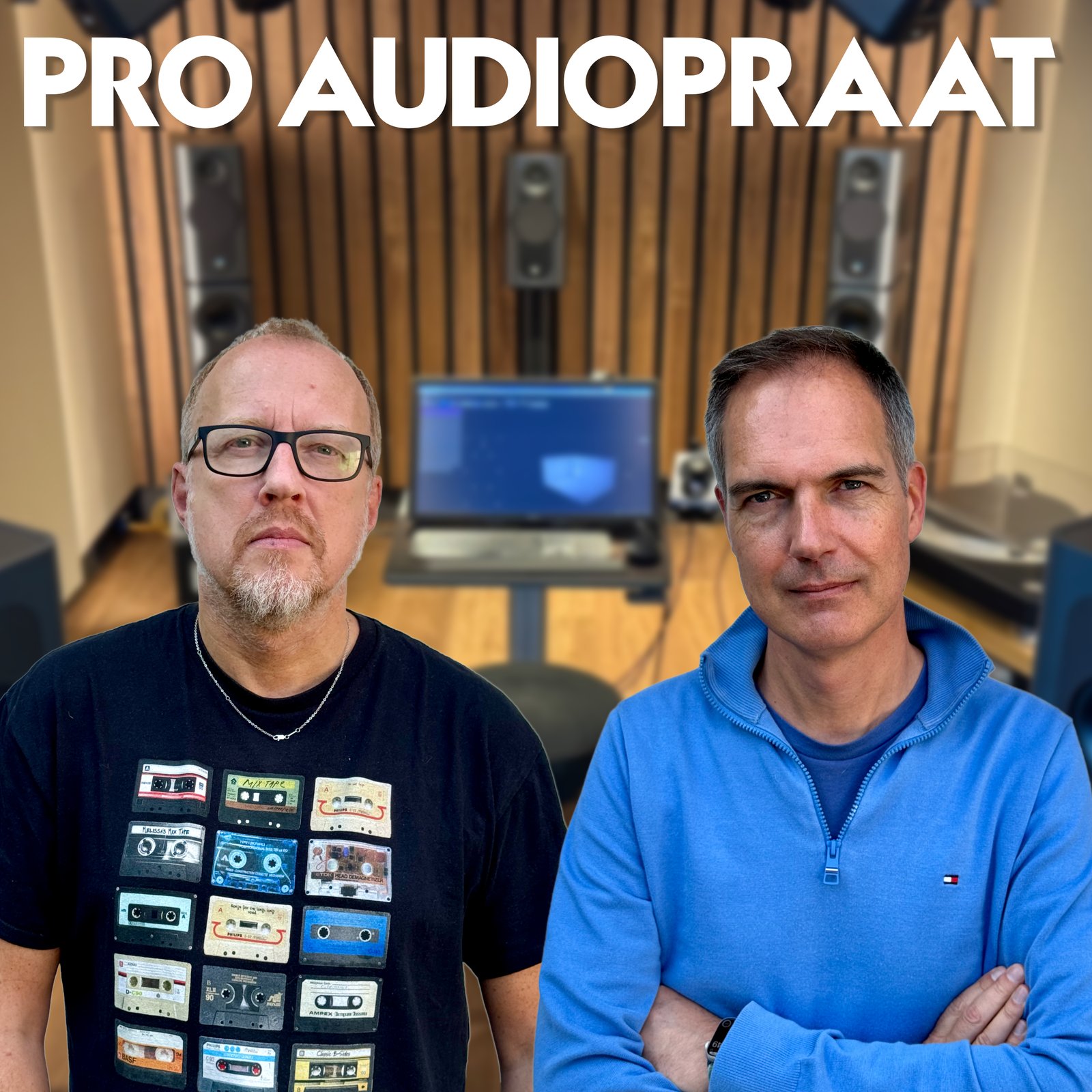 Pro Audiopraat podcast artwork